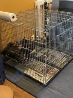 processed/71f465d8-d514-4705-99ef-d4f8f8c189eb/facility/780a7f52-86ab-4191-9873-74fb81bfe9d8