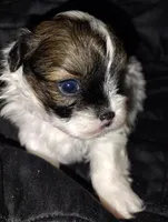 processed/71fa67c8-65a0-42bf-9722-bb35e48bfd0c/listing/44419fcf-9fce-4bb2-9256-dbc32de96743/60dee682-c3f4-4f6a-94c0-22764b0206e9