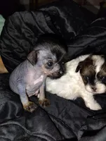 processed/71fa67c8-65a0-42bf-9722-bb35e48bfd0c/listing/44419fcf-9fce-4bb2-9256-dbc32de96743/dc5d2bd9-ad67-4730-8ec3-0c0b51b00417