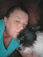 Sophie, a female Chihuahua and Chinese Crested for sale in Madisonville, KY – 3 of 5