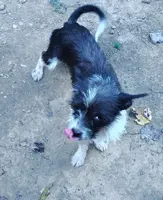 processed/71fa67c8-65a0-42bf-9722-bb35e48bfd0c/listing/57b28bb9-0683-4e08-a209-9291593ccbb1/eb2360e0-4a2c-40ca-bbe3-5e6251dc69fd