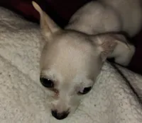 processed/71fa67c8-65a0-42bf-9722-bb35e48bfd0c/listing/b20daa3c-19e1-4896-8984-874d0b264352/848e06f0-53b9-4284-9cf2-e7bc108cf671