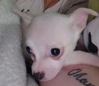 processed/71fa67c8-65a0-42bf-9722-bb35e48bfd0c/listing/b20daa3c-19e1-4896-8984-874d0b264352/9177d4b9-c1ad-496f-a54c-403d5bbde4b1