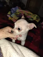 processed/71fa67c8-65a0-42bf-9722-bb35e48bfd0c/listing/b20daa3c-19e1-4896-8984-874d0b264352/99a8bd19-d512-48fc-a8df-c4fc82db07a1