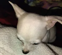 processed/71fa67c8-65a0-42bf-9722-bb35e48bfd0c/listing/b20daa3c-19e1-4896-8984-874d0b264352/f4d9139c-8a07-48ea-ab57-fd14ce6ff1a5