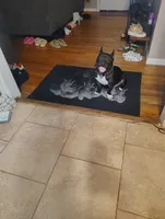 King, a male French Bulldog for sale in Houston, TX – 4 of 4