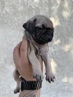 processed/721bb060-4263-442c-b65a-1593e5559e21/listing/0d8c7b2f-5de8-4fcc-a849-497c2cd61eee/cb7e112b-d3c0-4206-bdf8-e8349660c699