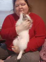 processed/721d6d23-3caf-4a23-a0de-3762a0d4c9eb/facility/1ea7f533-528b-4ae8-8709-088f26fdb0cd