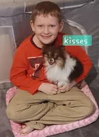 processed/721d6d23-3caf-4a23-a0de-3762a0d4c9eb/facility/5d90c6eb-e4ec-4e66-9c3a-4c0cd7a031f2