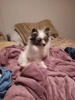 processed/721d6d23-3caf-4a23-a0de-3762a0d4c9eb/facility/76643092-a42b-422a-ba37-11bac8891d75