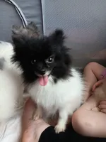 processed/721d6d23-3caf-4a23-a0de-3762a0d4c9eb/facility/ab3b03dc-cdab-4418-9f81-c0dacc61ec89