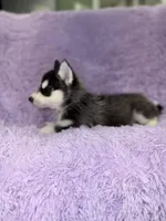 processed/7225651b-5544-4678-90b2-f650d75d81b4/listing/26f67683-4c7c-43c8-90a3-ee0047e4b9e7/036164d0-9759-4ced-a5d9-ef80734caf4e