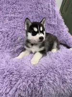 processed/7225651b-5544-4678-90b2-f650d75d81b4/listing/26f67683-4c7c-43c8-90a3-ee0047e4b9e7/0eb51d84-ed66-4f7f-9804-3af409fd9e2d