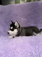 processed/7225651b-5544-4678-90b2-f650d75d81b4/listing/26f67683-4c7c-43c8-90a3-ee0047e4b9e7/6b2e2263-bd44-4165-a653-a686e06a93bb