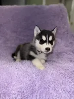 processed/7225651b-5544-4678-90b2-f650d75d81b4/listing/26f67683-4c7c-43c8-90a3-ee0047e4b9e7/91b05895-7f66-471f-9177-1a7fe3753ed8