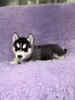 processed/7225651b-5544-4678-90b2-f650d75d81b4/listing/26f67683-4c7c-43c8-90a3-ee0047e4b9e7/cd73da9a-334c-4ecd-813f-3a69e127da4b