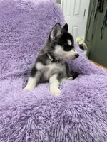 processed/7225651b-5544-4678-90b2-f650d75d81b4/listing/26f67683-4c7c-43c8-90a3-ee0047e4b9e7/e1d173c2-2206-4fa5-aed1-ba131143bc0d