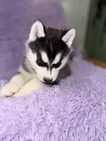 processed/7225651b-5544-4678-90b2-f650d75d81b4/listing/5383732f-fe3f-4ceb-9ebf-6fa0b2b2b5a5/406df5fe-3a83-4605-ac25-d26a07ed0d8a