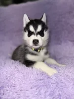 processed/7225651b-5544-4678-90b2-f650d75d81b4/listing/5383732f-fe3f-4ceb-9ebf-6fa0b2b2b5a5/73169284-5cf2-43b9-9ffd-92d3d12e0f40