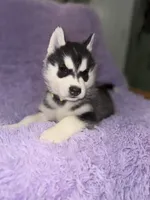 processed/7225651b-5544-4678-90b2-f650d75d81b4/listing/5383732f-fe3f-4ceb-9ebf-6fa0b2b2b5a5/a13a1c69-543d-465a-aba1-02fe1fd6406f