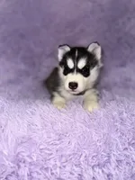 processed/7225651b-5544-4678-90b2-f650d75d81b4/listing/8db41863-579d-4908-b0cf-695deff72494/1e98b16c-ec46-424c-ab9a-1a4857a2e6bc