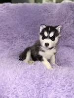 processed/7225651b-5544-4678-90b2-f650d75d81b4/listing/8db41863-579d-4908-b0cf-695deff72494/2e4cadeb-86d5-4f50-be8d-1ec7379319a3