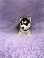 processed/7225651b-5544-4678-90b2-f650d75d81b4/listing/8db41863-579d-4908-b0cf-695deff72494/5294ce0f-903d-49b9-b958-de451cade7eb