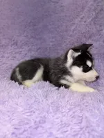 processed/7225651b-5544-4678-90b2-f650d75d81b4/listing/8db41863-579d-4908-b0cf-695deff72494/5d05165a-19ec-4597-b5cf-706f71a51bea