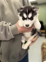 processed/7225651b-5544-4678-90b2-f650d75d81b4/listing/8db41863-579d-4908-b0cf-695deff72494/63076f41-6ce4-4c81-a55b-edf496e699d4