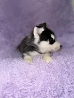 processed/7225651b-5544-4678-90b2-f650d75d81b4/listing/8db41863-579d-4908-b0cf-695deff72494/a674cb95-9f1b-4802-91c4-68c082e0c3d8