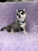 processed/7225651b-5544-4678-90b2-f650d75d81b4/listing/ba8d9752-df93-48e6-8673-d9e12b31376e/4dd934af-9461-4ed4-b1bb-76ce6d04f057