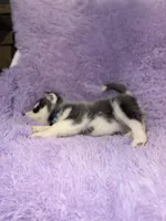 processed/7225651b-5544-4678-90b2-f650d75d81b4/listing/ba8d9752-df93-48e6-8673-d9e12b31376e/731505d2-6f13-4c79-9533-0ca388ccafe1