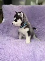 processed/7225651b-5544-4678-90b2-f650d75d81b4/listing/ba8d9752-df93-48e6-8673-d9e12b31376e/ab48241a-8c03-4f34-8d78-363a4ae5100e