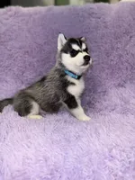 processed/7225651b-5544-4678-90b2-f650d75d81b4/listing/ba8d9752-df93-48e6-8673-d9e12b31376e/ec2cdb3e-6ba2-456e-9535-276ef0e384b6