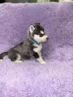 processed/7225651b-5544-4678-90b2-f650d75d81b4/listing/ba8d9752-df93-48e6-8673-d9e12b31376e/f2a29a17-1fec-4175-890b-6790323c7565