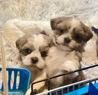 processed/72283d4e-59ce-4cf9-9578-b349d6e47b05/facility/0c5dfecd-0706-44f8-b399-efa3fc2358d3