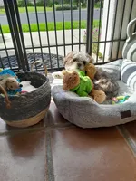 processed/72283d4e-59ce-4cf9-9578-b349d6e47b05/facility/620a660e-3ef1-44ac-9eaf-f3d4bf3c885f