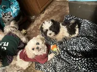 processed/72283d4e-59ce-4cf9-9578-b349d6e47b05/facility/841376d4-efcb-4018-85a6-0e524656a10d