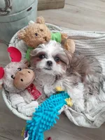 processed/72283d4e-59ce-4cf9-9578-b349d6e47b05/facility/c2425662-b292-404c-819a-31b1fd70c03b