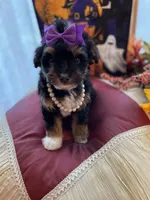 processed/722ca32f-5418-4515-a1b7-0ed498b609d7/facility/12e31647-c237-4457-91a0-4f2464ffa474