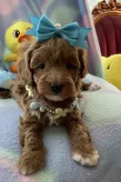 processed/722ca32f-5418-4515-a1b7-0ed498b609d7/facility/266d941a-a91c-462c-b15d-90029190e4c6