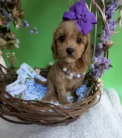 processed/722ca32f-5418-4515-a1b7-0ed498b609d7/facility/2a096d7b-aa96-407c-bd7f-7ae081aac21b