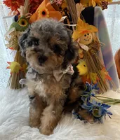 processed/722ca32f-5418-4515-a1b7-0ed498b609d7/facility/2a1a64ab-84b7-4c87-ba51-2069580ffe70