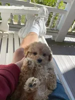 processed/722ca32f-5418-4515-a1b7-0ed498b609d7/facility/547d508a-0a94-47b5-ab55-1757efe5a1f9