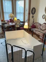 processed/722ca32f-5418-4515-a1b7-0ed498b609d7/facility/5eafd806-73dd-4a50-bcdf-e2ccf28124ed