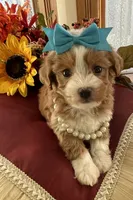 processed/722ca32f-5418-4515-a1b7-0ed498b609d7/facility/606701f1-ad94-4309-83ba-6f530f4542e8