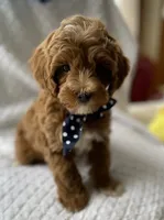 processed/722ca32f-5418-4515-a1b7-0ed498b609d7/facility/6684385a-7a3c-4818-878e-18f2f12b065a