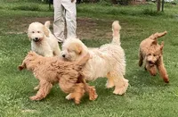 processed/722ca32f-5418-4515-a1b7-0ed498b609d7/facility/7008b7b3-591e-45e4-a11f-6bcb19ee7f7c