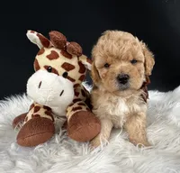 processed/722ca32f-5418-4515-a1b7-0ed498b609d7/facility/819556d5-91ee-4fda-a537-abbb8182e604