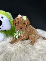 processed/722ca32f-5418-4515-a1b7-0ed498b609d7/facility/a92bcbb2-68c3-466c-b081-6852b47e6bc7